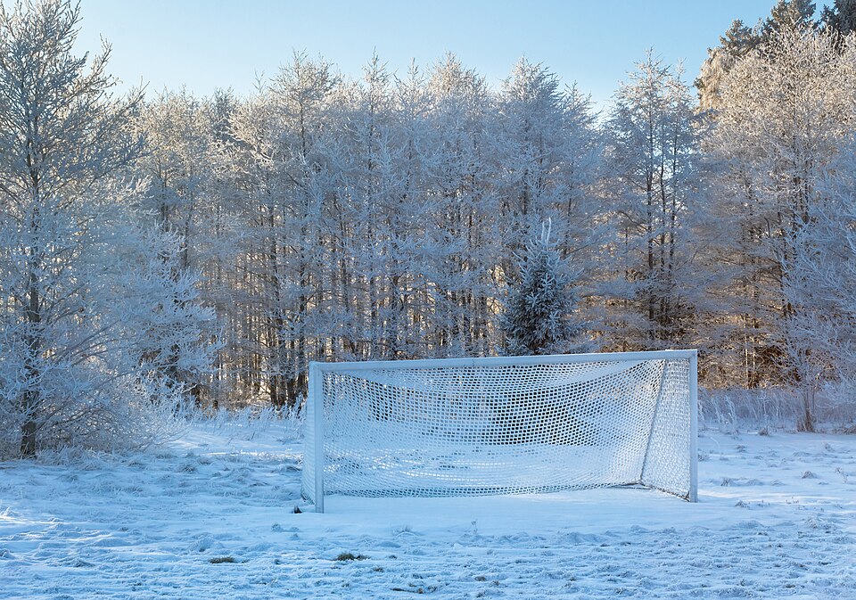 Hinchas viendo un partido en un bar deportivo
